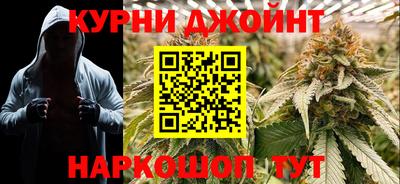гашик Будённовск