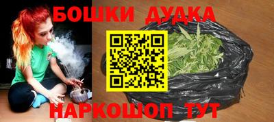 гашик Будённовск