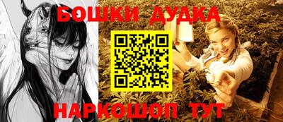 гашик Будённовск