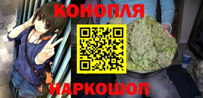 гашик Будённовск