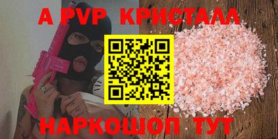 гашик Будённовск