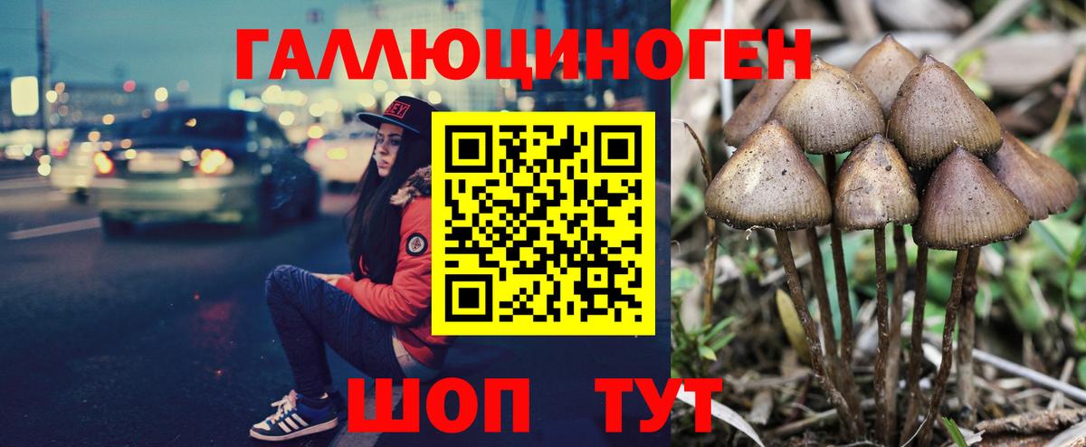 Кубинка  Галлюциногенные грибы мицелий  Псилоцибиновые грибы Psilocybine cubensis  Вход с VPN 
